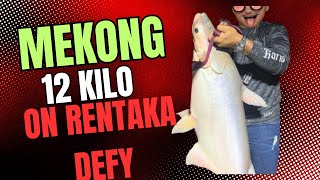 MANCING IKAN MEKONG 12 KILO