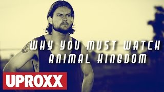 WHAT TO EXPECT in Animal Kingdom season 2 | HitFix