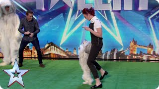 David Vs Ashley and Pudsey: let's dance! | Britain's Got Talent 2015