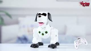 Uzaktan Kumandalı Işıklı ve Sesli Akıllı Robot Köpek