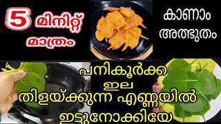 നമ്മുടെ വീട്ടുമുറ്റത്തുള്ള പനികൂർക്ക ഇല ഇനി ഞെട്ടിക്കും|ഇതുവരെ ആരും അറിയാതെ പോയി Mexican Mint Recipe