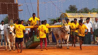 NADENDLA 2021- 6 PALLU 1ST PLACE WINNER RK BULLS VETAPALEM