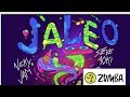 #Jaleo Dj Valdis REMIX #Jaleo Nicky Jam X Steve Aoki - ZumbaFitness- with subtitles