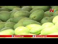 అన్నదాతను నిలువునా దోచేస్తున్న దళారులు mango farmers face troubles at purchasing center ntv