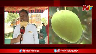 అన్నదాతను నిలువునా దోచేస్తున్న దళారులు | Mango Farmers Face Troubles At Purchasing  Center | NTV