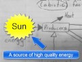 Ecology- energy, nutrients and ecosystems