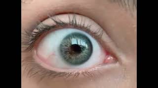 لنز سبز نچرال با رگه های خاص👌🏻😍| Premium Green La’bella contact lens