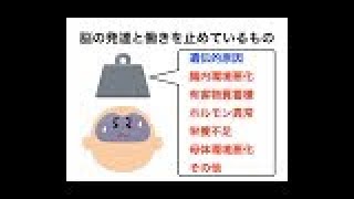 発達障害治療編　アイデス・クリニックセミナーNo002