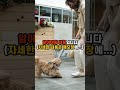 우리가 몰랐던 강아지의 충격적인 5가지 사실 3 shorts