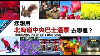 北海道旅途省钱支招 - 北海道中央巴士通票 / INTER CITY BUS PASS 2018 - 2