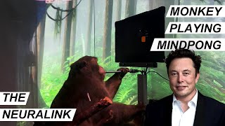 Elon Musk's Neuralink Making News As Monkey Plays Games With Just Mind Power