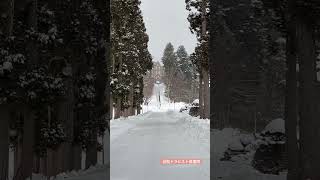 【北海道自由行】❄️2023冬天函館❄夢幻雪景❄渡島当別