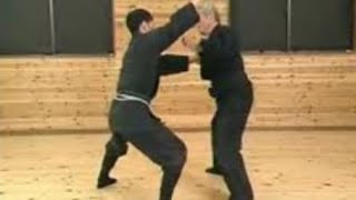 Koto Ryu Koppojutsu - Hatsumi Sensei - Bujinkan Dojo  Ninjutsu (Ninja)