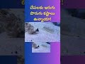 చేపలకు పొరుగు కష్టాలు ఉన్నాయా do fish have trouble with their neighbors fish viral