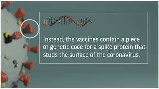 Pfizer \u0026 Moderna vaccine explained