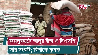 জয়পুরহাটে আলুর বীজ ও টিএসপি সার সংকট; বিপাকে কৃষক | Joypurhat News