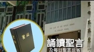 每日誦讀聖言（谷5：1-20）2023年12月27（三）~ 新增「每日聖言反省」