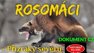 23 ROSOMÁCI - Přízraky severu (DOKUMENT - Predátoři zblízka)