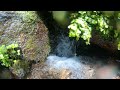 【4k自然音】早春の尚仁沢湧水群 川のせせらぎ 鳥の声8時間 spring water group in early spring 8 hours. bird’s nature＃44