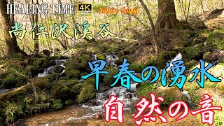 【4K自然音】早春の尚仁沢湧水群 川のせせらぎ 鳥の声8時間 Spring water group in early spring 8 hours. Bird’s Nature＃44