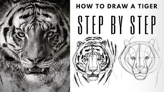 EASY Step by Step Guide for Drawing a Realistic Tiger