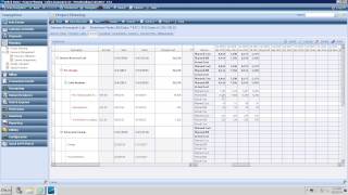 CCG - Deltek Vision Resource Planning with Navigator Live Demo + Q\u0026A