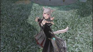 FF14　８冊集まるまで終わらない零式消化2層から