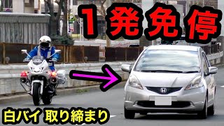 【１発免停】爆走フィットが白バイに捕まる瞬間‼️ レクサスも赤切符‼️　[サイレン 警察 取り締まり]