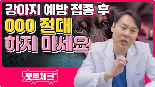 강아지 예방접종 후 꼭 지켜야할 행동들을 펫트체크 해보겠습니다