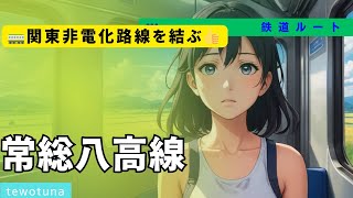 【関東非電化路線をつなぐ】常総八高線