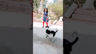 dance karibaku jauthhila #shortvideo #youtubeshorts #reelsvideo