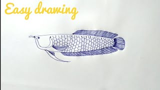 Arowana fish l easy drawing l freehand