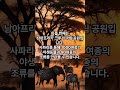 죽기전에 꼭 가봐야할 곳 top10 여행