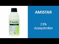 amistar fungicide syngenta in telugu amistar dosage future tech agriculture telugu