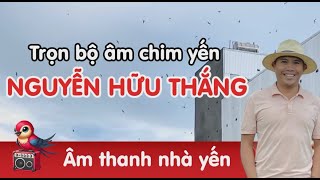 Trọn bộ âm thanh chim yến Gia Phú chia sẻ cho ai nghiên cứu nghề nuôi yến