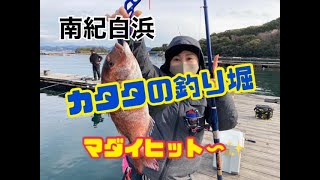 南紀白浜【カタタの釣り堀】　ｆｉｓｈｉｎｇｍａｘ武庫川店