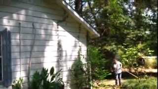 Blowing up a wasps nest with M 80 firecrackers