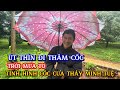 Út Thìn đi thăm cốc, tình hình hiện tại của cốc Thầy Minh Tuệ.#thichminhtue #minhtue