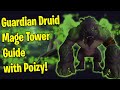 Dragonflight Guardian Druid Mage Tower Guide | Fel Werebear Form