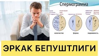 Фарзанд куриш учун эркаклар бепуштлигини даволаш