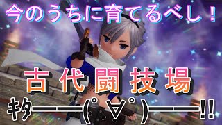 【ブレイブリーデフォルトブリリアントライツ】古代闘技場のβテスト開始！闘技場までに育てるべきキャラは？【BRAVELY DEFAULT BRILLIANT LIGHTS】【BDBL】