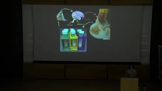 2019 Heller Lecture Series - Prof. Suzana Herculano-Houzel