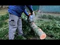 stihl ms362c 60cc professional chainsaw first use thoughts and opinions