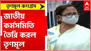 TMC: নতুন জাতীয় কর্মসমিতি তৈরি করল তৃণমূল, কে কোন পদে আসীন ঠিক করবেন মমতা বন্দ্যোপাধ্যায়