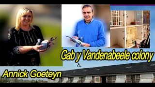 Annick Goeteyn (Deinze, Belgium) Gaby Vandenabeele colony