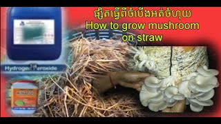 ផ្សិតអំបោះស ធ្វើពីចំបើងដោយអត់ចំហុយ ,#How to grow mushroom on straw