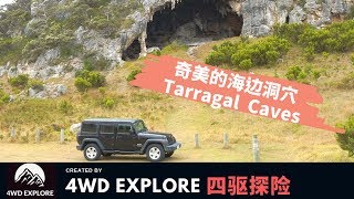 澳大利亚维省Portland之旅-04奇美的海边洞穴Tarragal  Caves