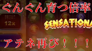 【1000倍台】マルチプライヤーが育っていくほどビッグウィンが近づいてくる？台に賭けてみた結果.....