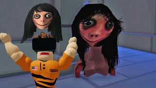 Momo Whatsapp Horangi Nak Datang Rumah Horangi!!! [MOMO.EXE VR] (VR MALAYSIA)