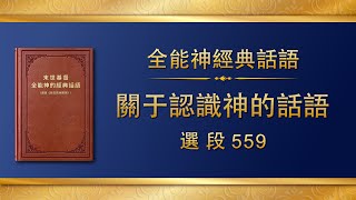 全能神經典話語《關于認識神的話語》選段559